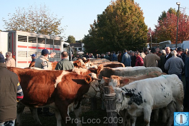 In prà della Antica Fiera di Arsego (1).JPG